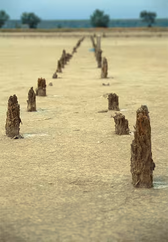 Amazing 3D wiggle effect. Featured Image