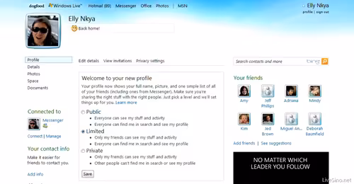 windows_live_profile_privacy