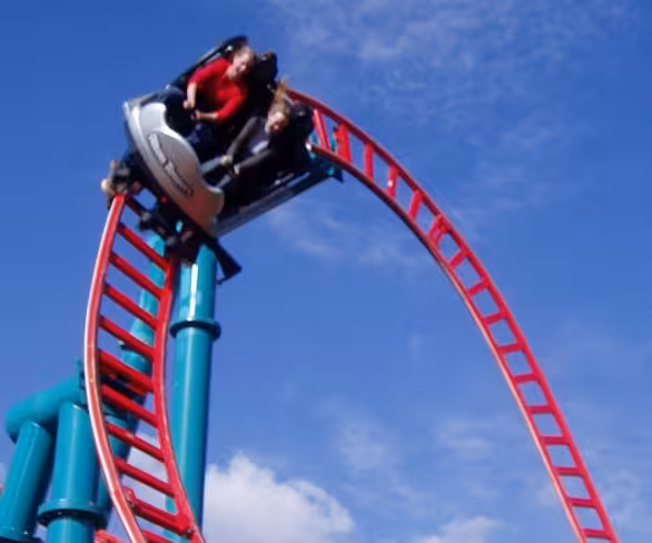 The Illuminated Ventures Project taps student talent to benefit communities Featured Image