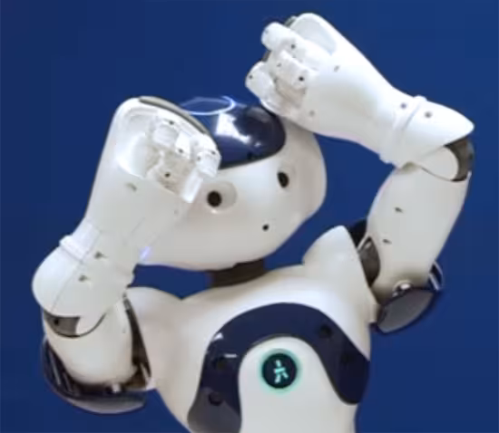 Nao-emotional-robot-thumb-550xauto-44651
