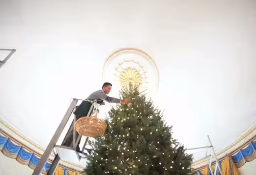 Time to set up the Christmas Tree, White House Style Featured Image