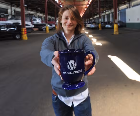 Like WordPress? You can now buy some official WP swag online Featured Image