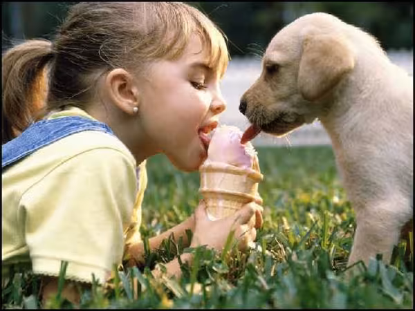 Aqarmap Closes its First Round of Investment Featured Image