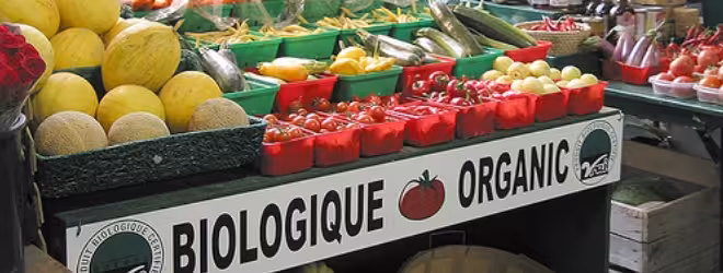 Simply Organic HD: A beautiful iPad app for organic foodies Featured Image