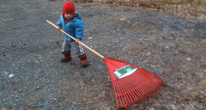 spring clean