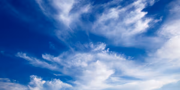 Back Up Your Cloud Storage Locally with Joukuu Featured Image