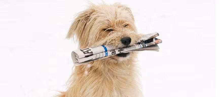 Jack Riley: 5 tips for using social media in print journalism Featured Image