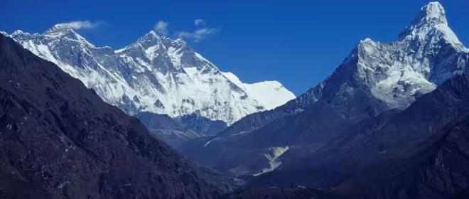 Twitter usage is scaling new heights, but what about full disclosure?