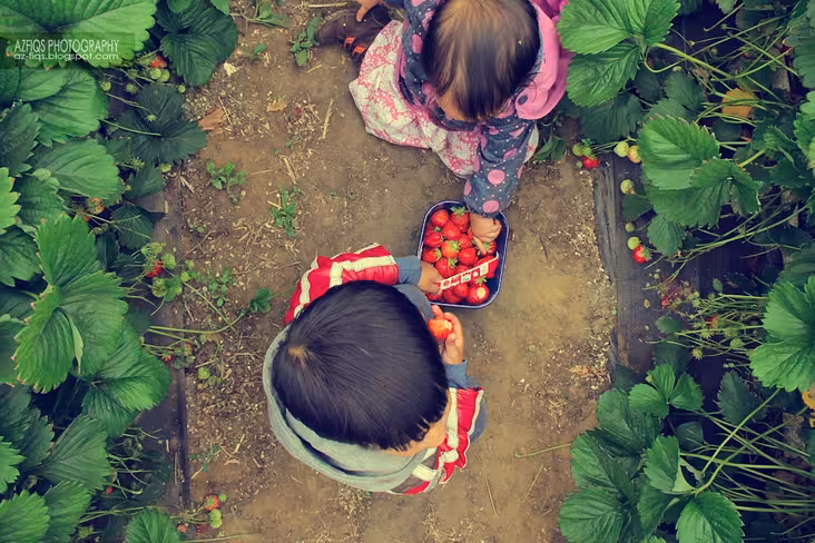 The Science of Sharing