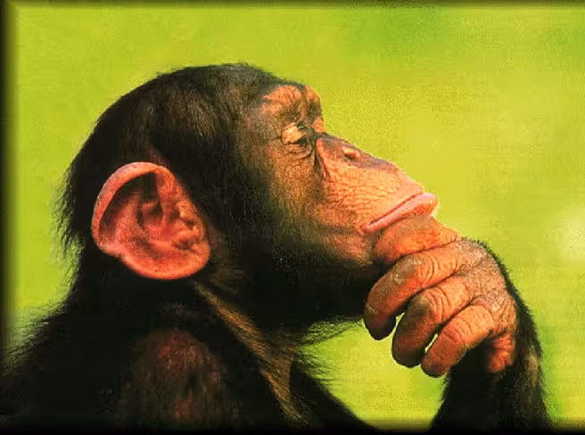 How the rise of social is forcing SEO to evolve Featured Image