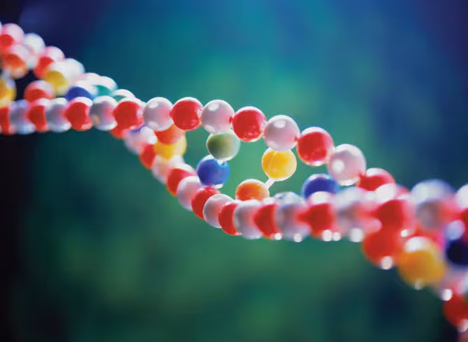 Identity crisis: Will genetic alterations modify human society?