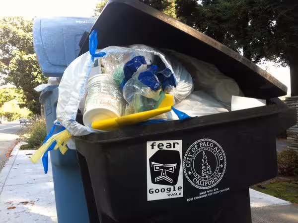 New age artist XVALA goes dumpster diving in Silicon Valley to create “art” Featured Image