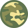 veterans2011_medium