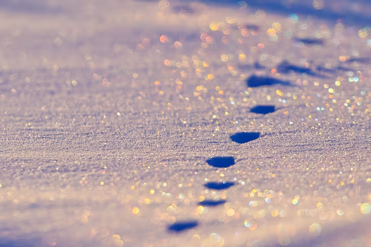 Using WordPress? Track which social networks your visitors are logged into Featured Image
