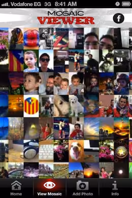 RevolutionMosaic2