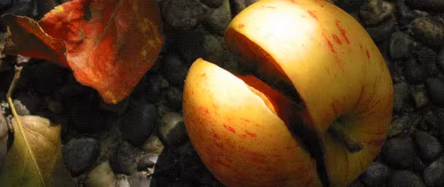 ‘You cut, I choose’: A startup protocol for breaking up with your business partners