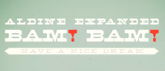 aldine_banner