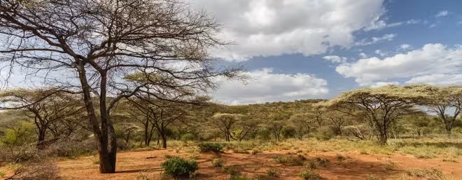 Funding East African startups: Interview with Savannah Fund’s Founding Partner, Mbwana Alliy [Video]