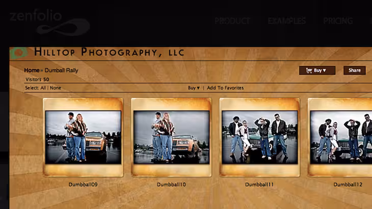 Examples Zenfolio-120102