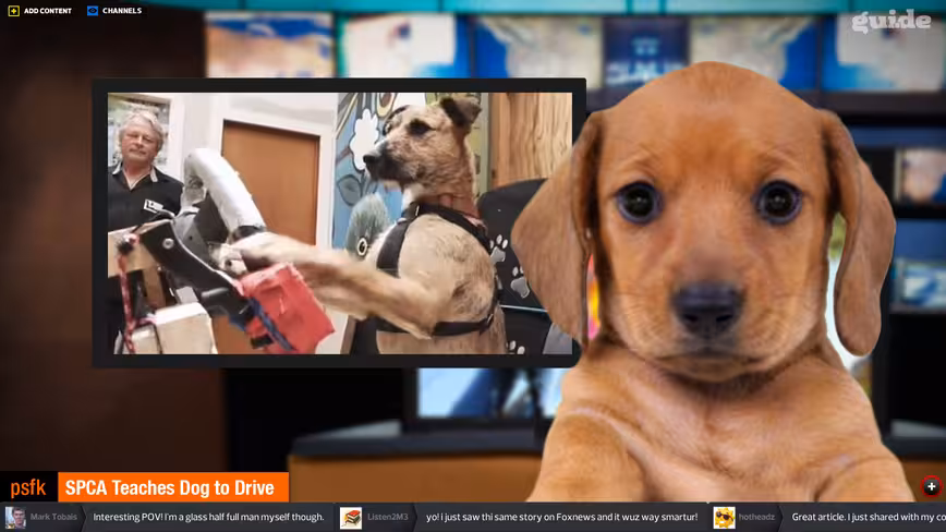 Guide-Player-Dog
