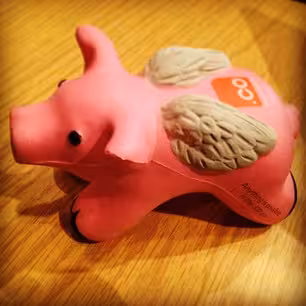 dot co flying pig