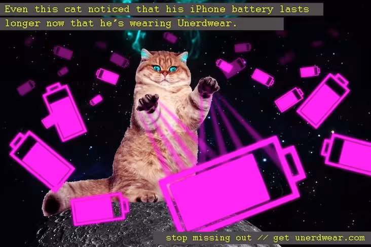6_cat_unerdwear