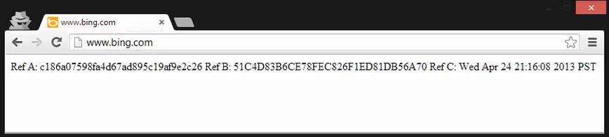 bing_error