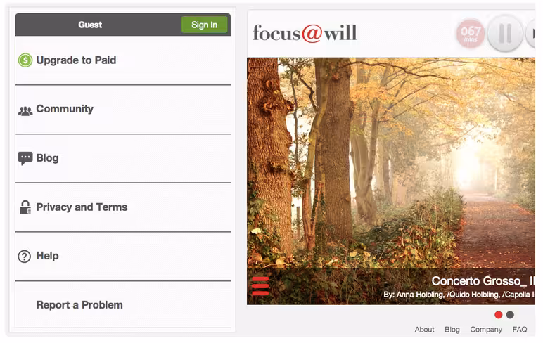 focusatwill-2