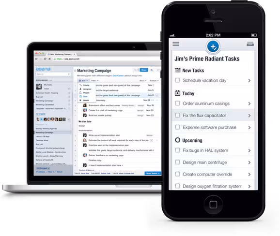 Asana Organizations - laptop & mobile images