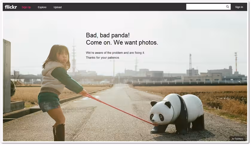 flickr panda
