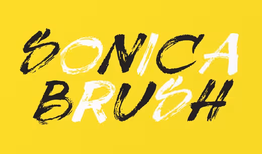 sonica-brush