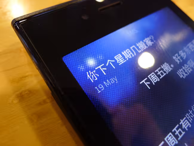 jolla6