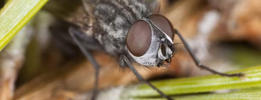 Instapaper creator Marco Arment launches Bugshot, a Skitch rival for highlighting visual bugs in iOS apps