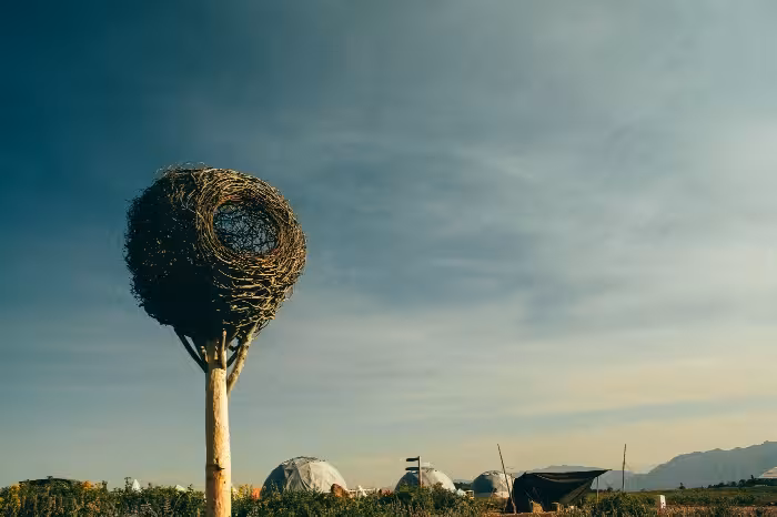 nest by hannes wingate