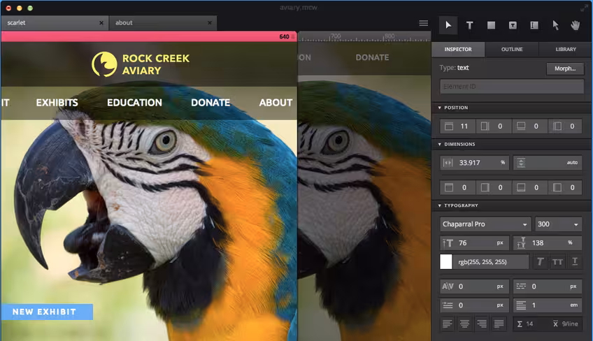 Macaw