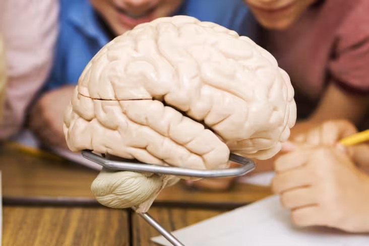 Do you think like an entrepreneur? Featured Image