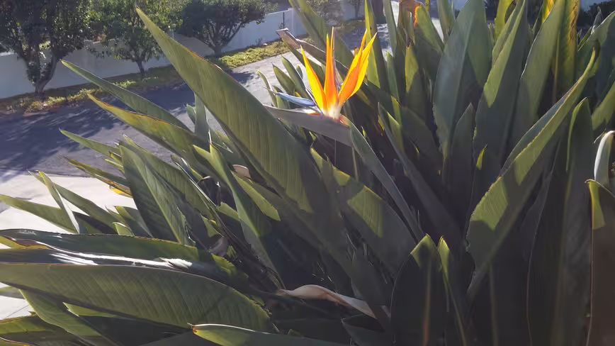 lg-g2