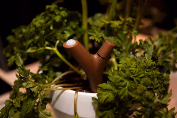 CES_UNVEILED_2013_Parrott_Flower_Power-5283_610x406