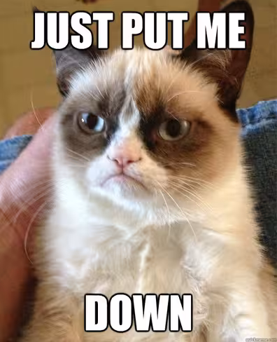 GrumpyCat-2