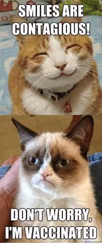 GrumpyCat-3