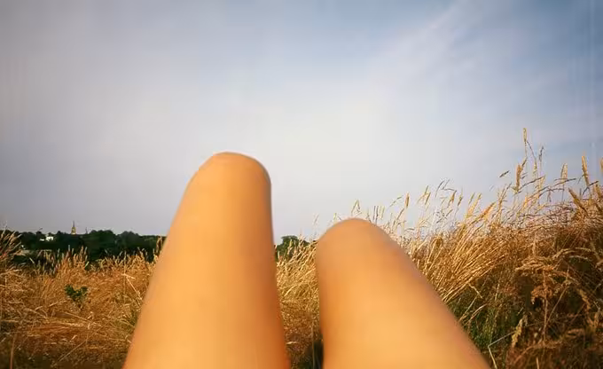 Hot-Dog-3