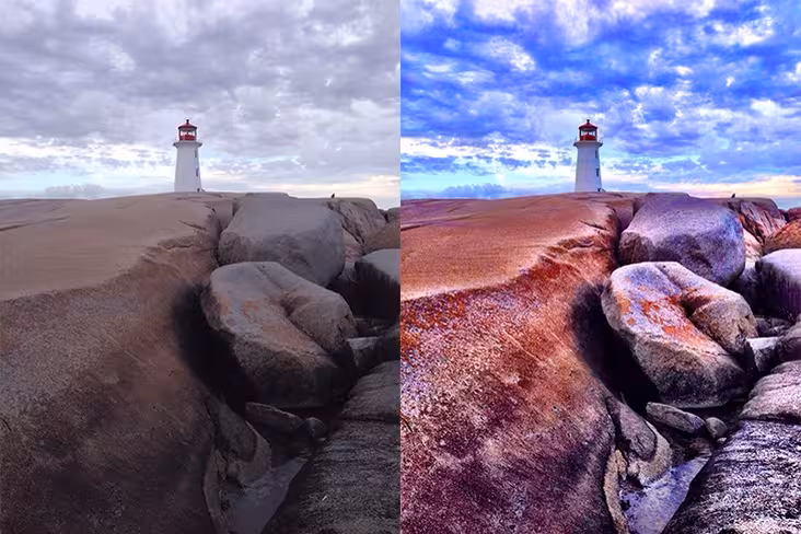 cameraplus