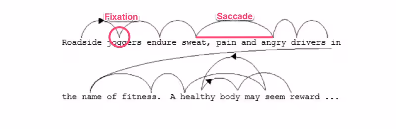 fixation-saccade