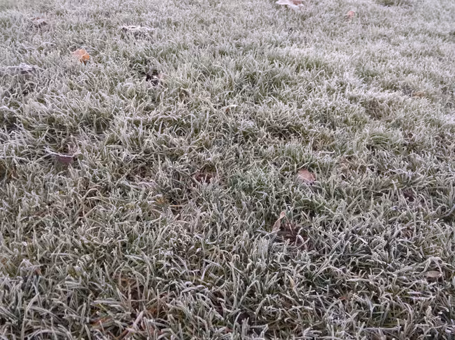 test2crop2
