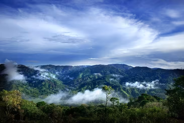 In the heart of the Panamanian jungle, a startup village grows Featured Image