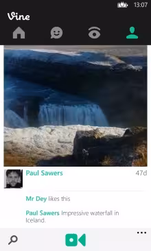 vine