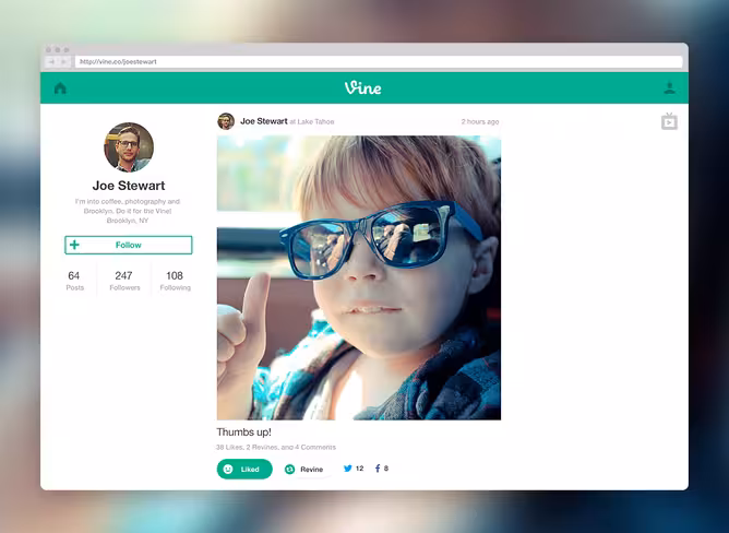vine_web_profile