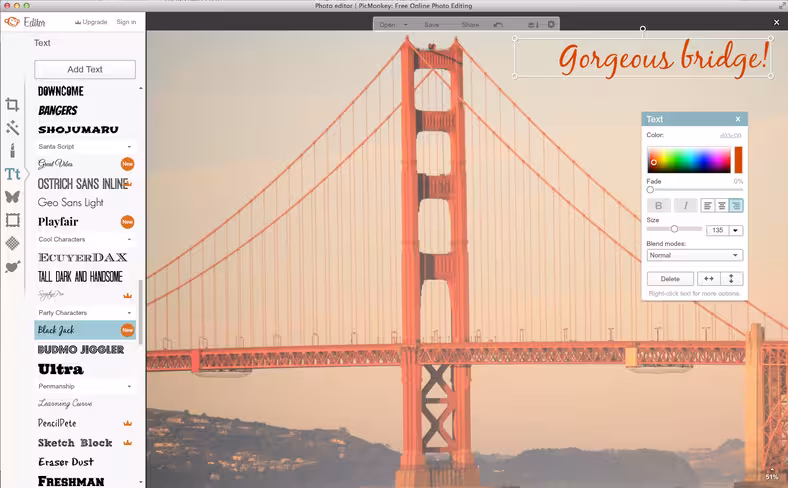 PicMonkey image editor