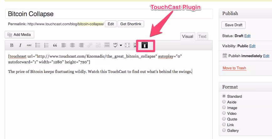 wordpress1