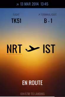 flight